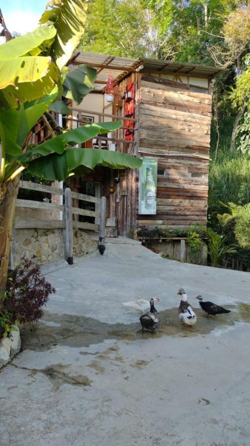 Hotel Selva Verde サレント エクステリア 写真
