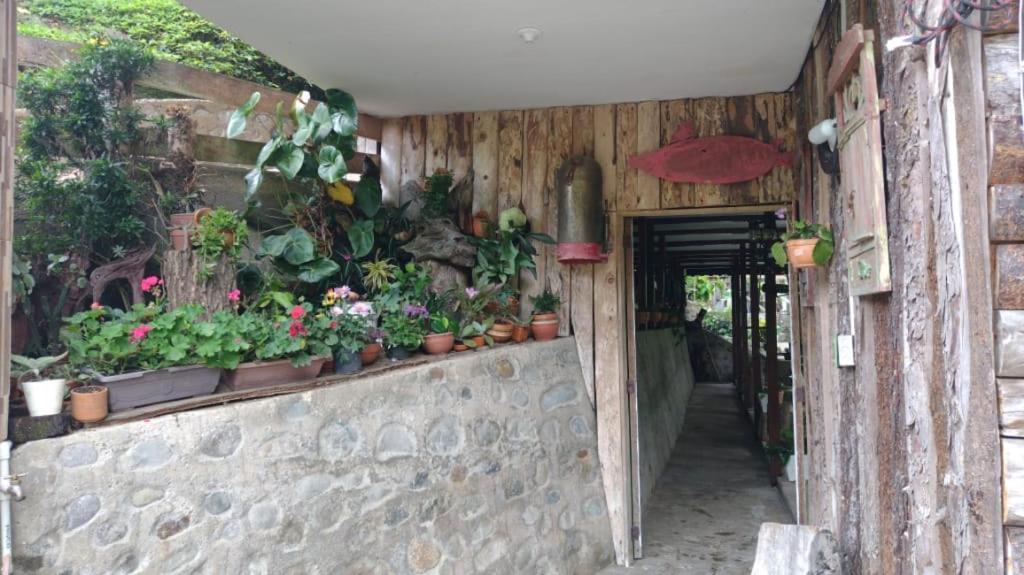 Hotel Selva Verde サレント エクステリア 写真