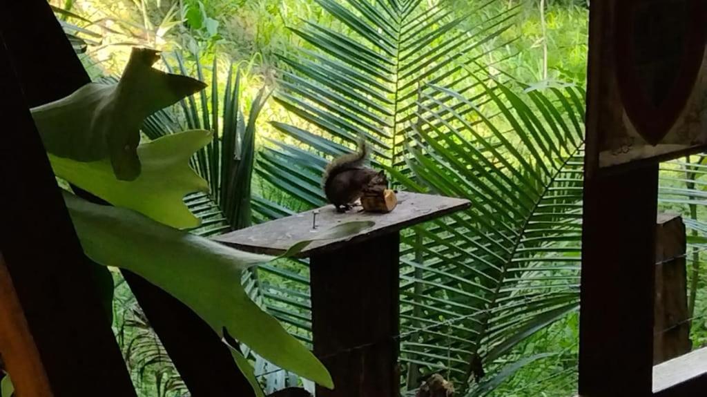 Hotel Selva Verde サレント エクステリア 写真