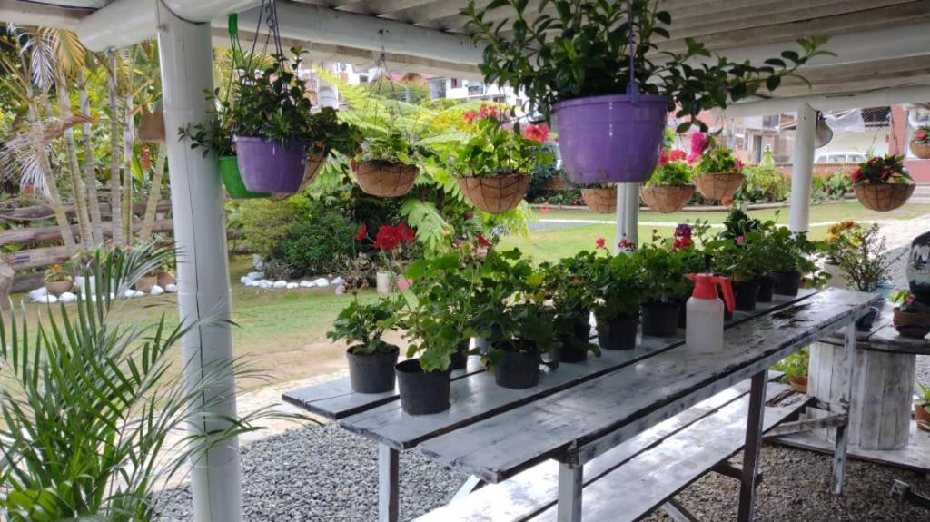 Hotel Selva Verde サレント エクステリア 写真