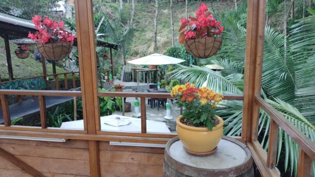 Hotel Selva Verde サレント エクステリア 写真
