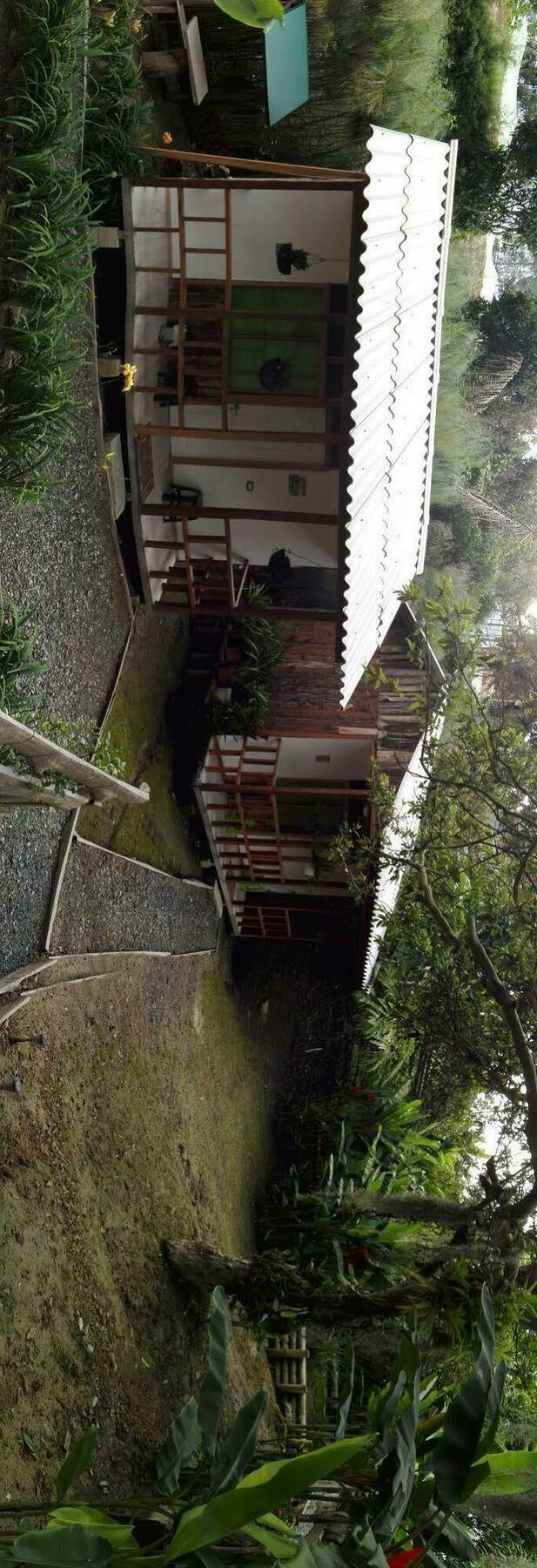 Hotel Selva Verde サレント エクステリア 写真